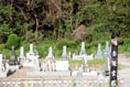 A bouddist graveyard